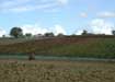 The color of the vineyard in Novembere