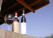 Our Sagrantino dry and sweet